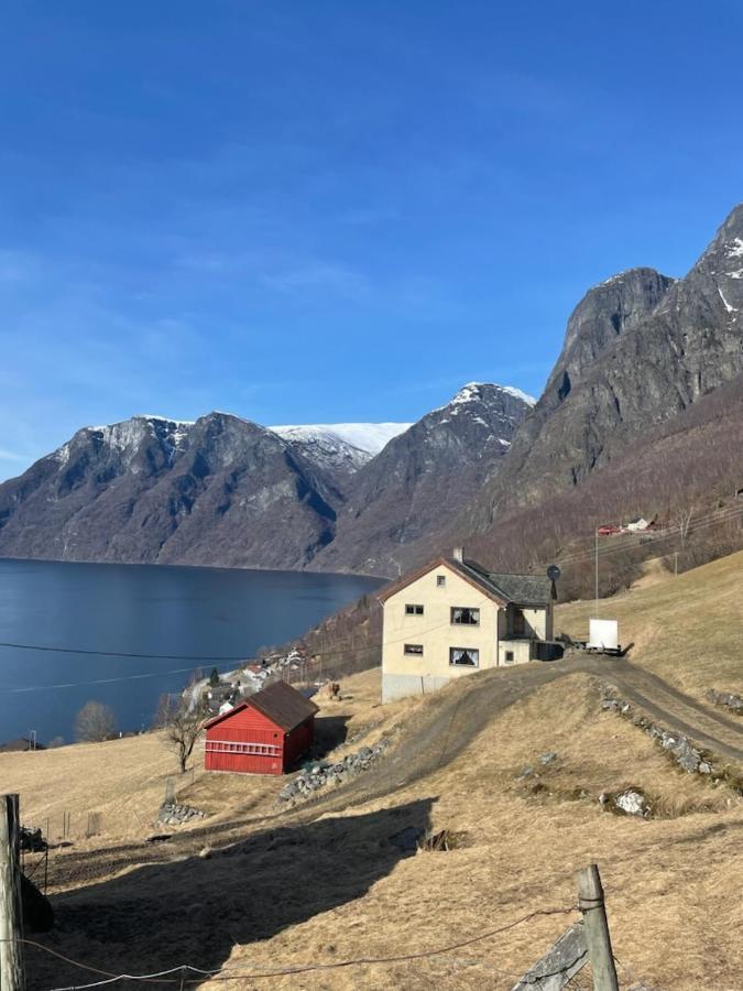 Aurland Stegastein Apartment Bagian luar foto