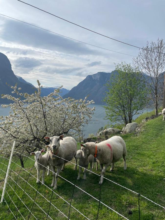 Aurland Stegastein Apartment Bagian luar foto