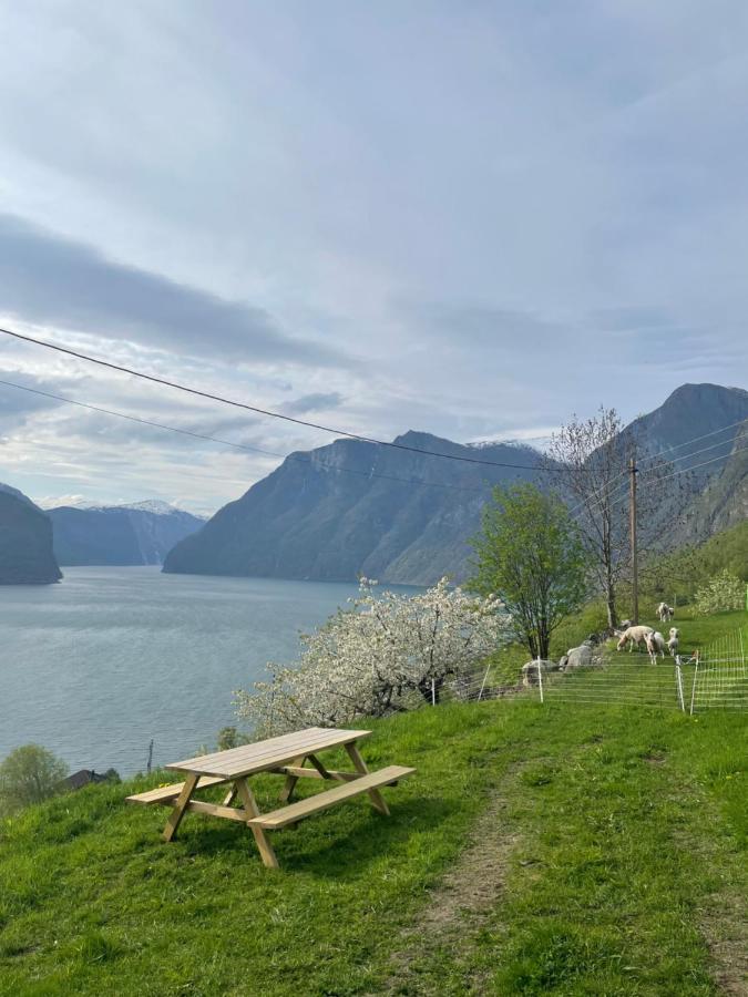 Aurland Stegastein Apartment Bagian luar foto