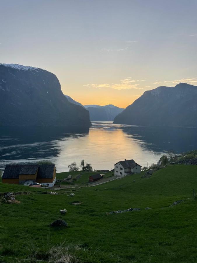 Aurland Stegastein Apartment Bagian luar foto